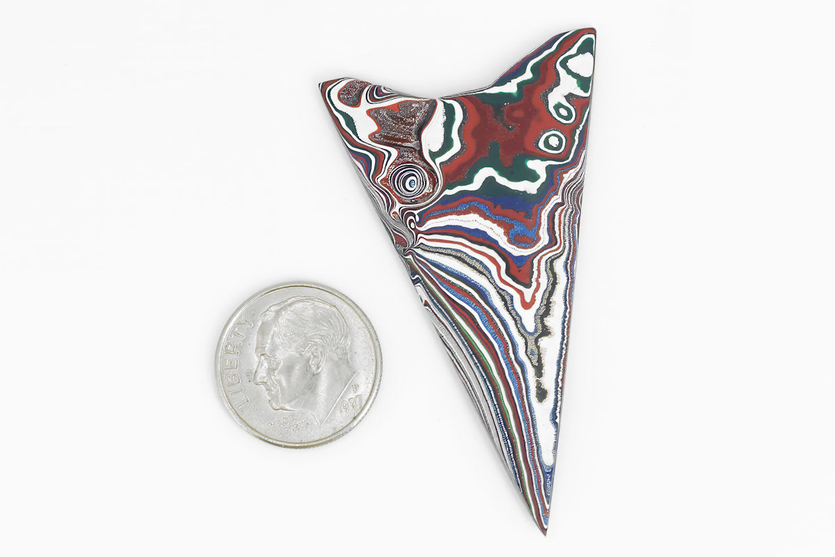 Shark Tooth